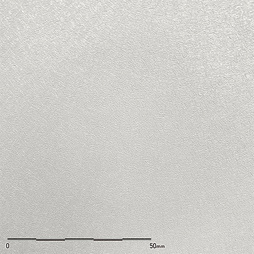 Belbien TX-053 Shell White Cur architectural film by WallpaperTwins